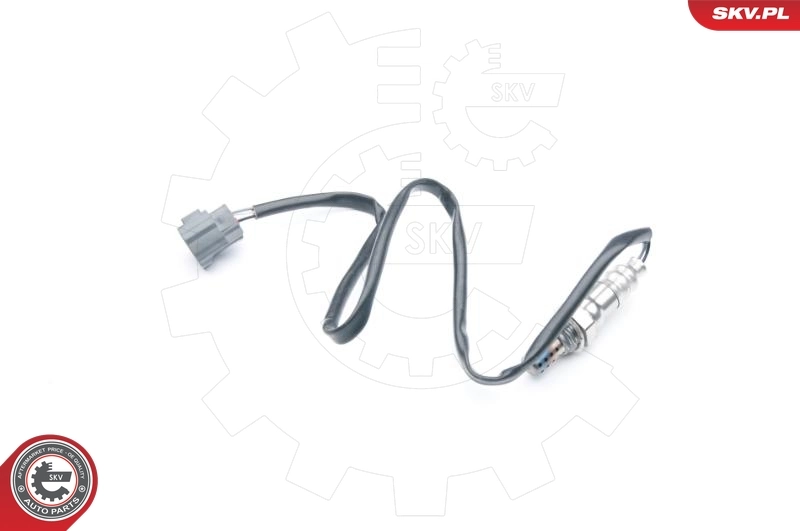Oxygen Sensor